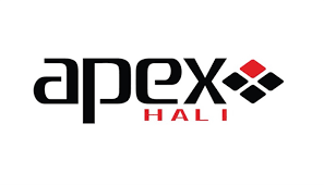Apex Halı Logosu